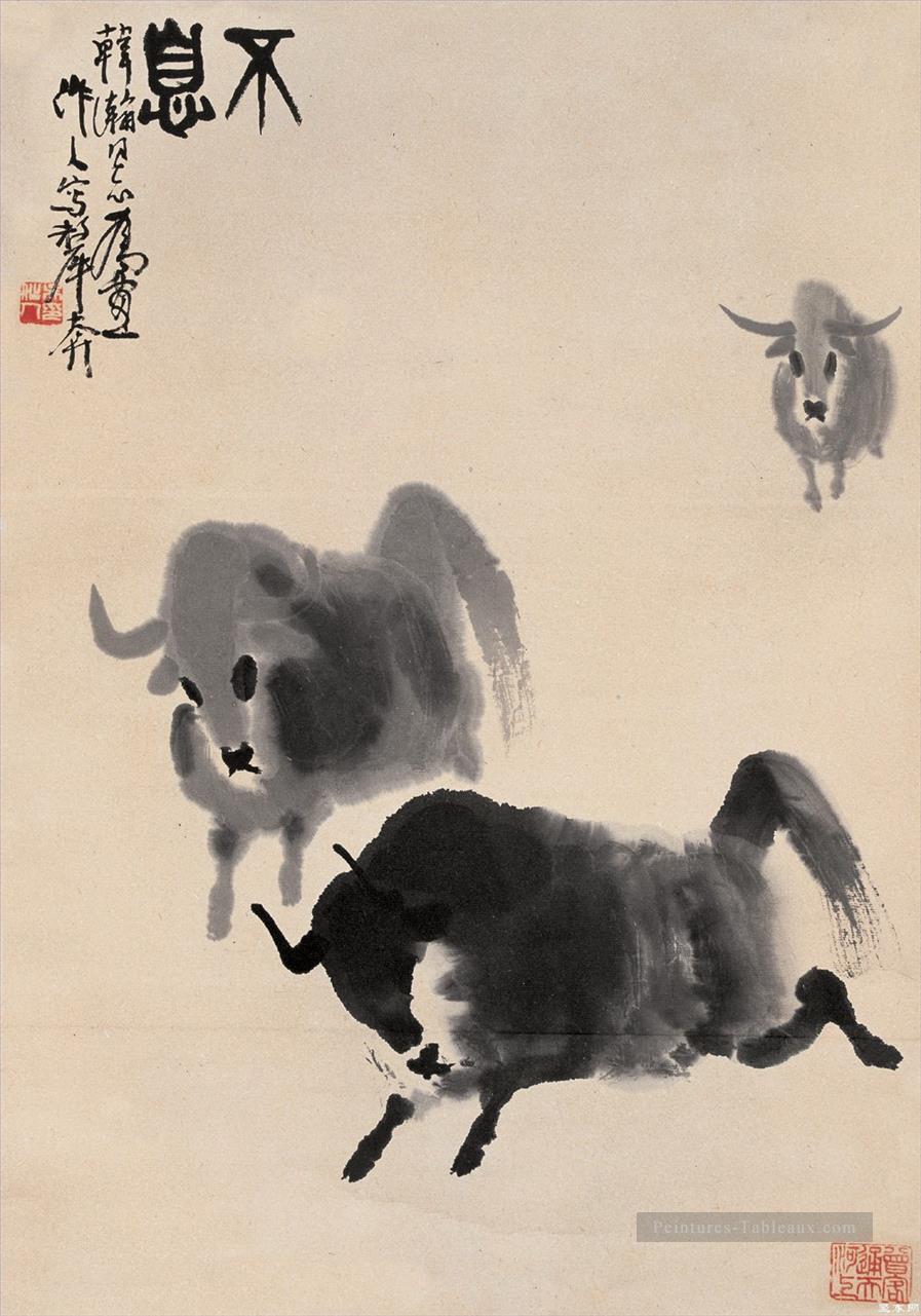 Wu Zuoren Running bétail vieille Chine à l’encre Peintures à l'huile